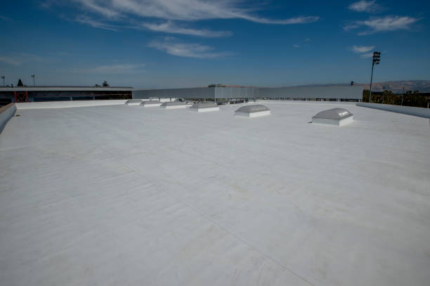 Best Sheet Metal Roofing  in Eagle Butte, SD