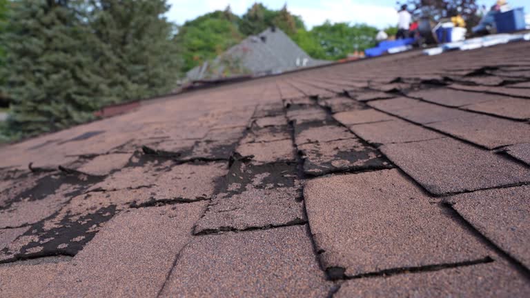 Best Hot Roofs  in Eagle Butte, SD