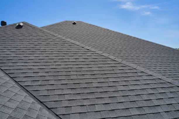 Best Solar Panel Roofing Installation  in Eagle Butte, SD